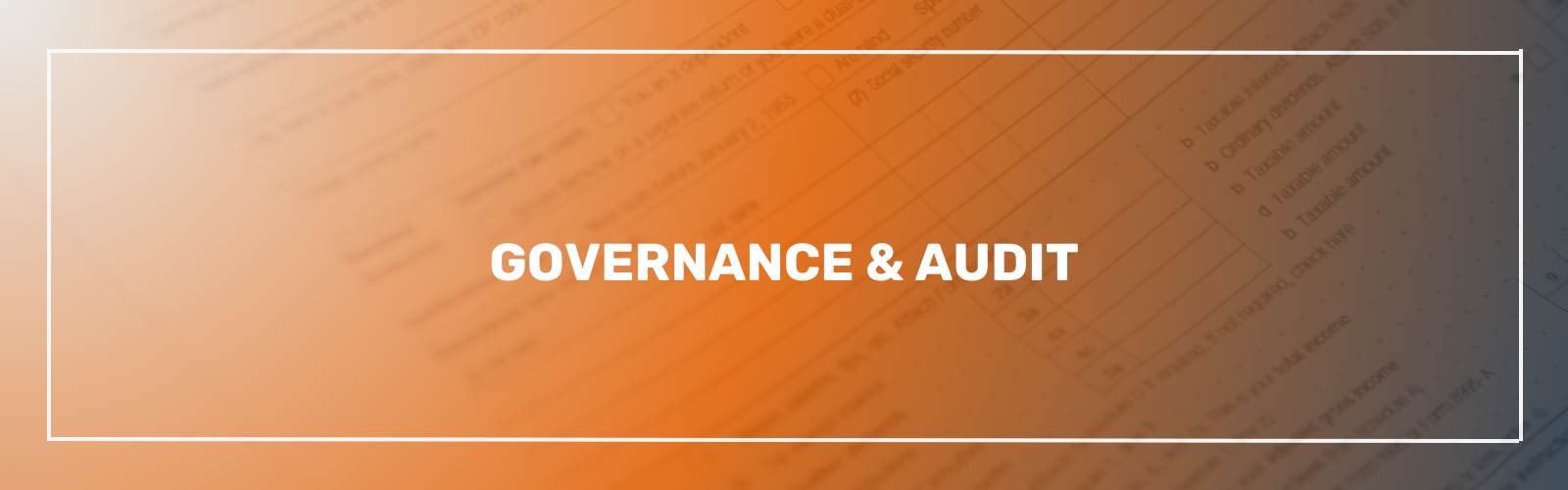 Governance & Audit